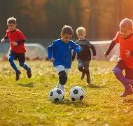 必赢电子,产品,必赢电子官网,必赢电子官网,必赢电子平台,必赢电子体育,必赢电子APP